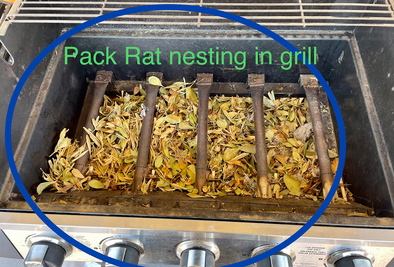 Pack Rat Masters, LLC project